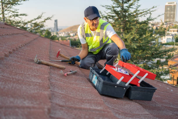 Best Attic Cleanout  in De Motte, IN